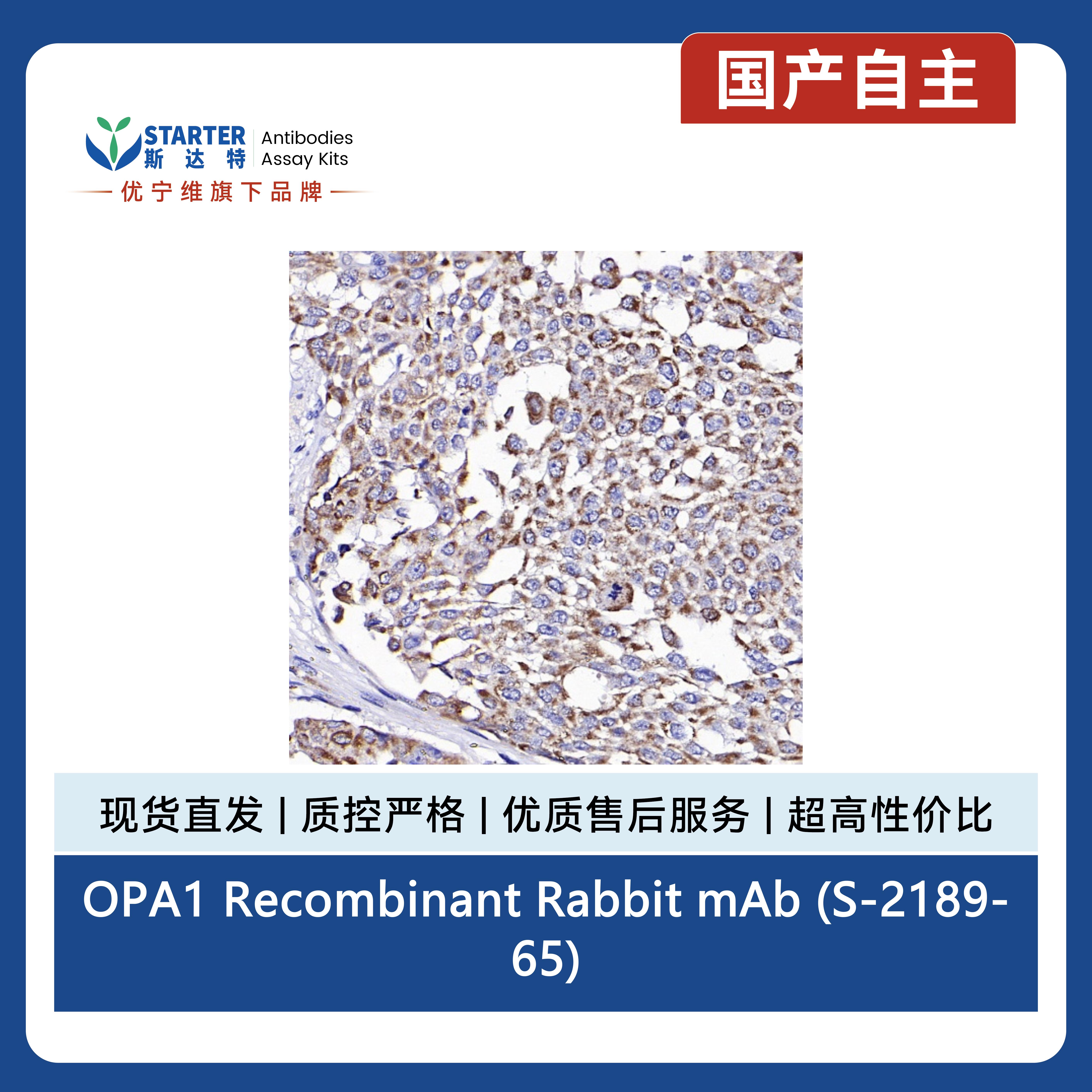 产品细节图片5