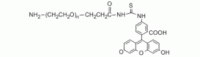 Fluorescein PEG Amine, FITC-PEG-NH2,≥95%, MW 1000 Da,阿拉丁