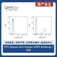 FITC Mouse Anti-Human EGFR Antibody (528)