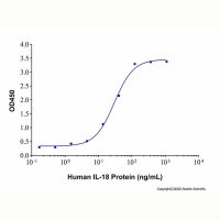 Recombinant Human IL-18 Protein，ActiBioPure™, 无载体, 生物活性, ≥95%(SDS-PAGE)，阿拉丁