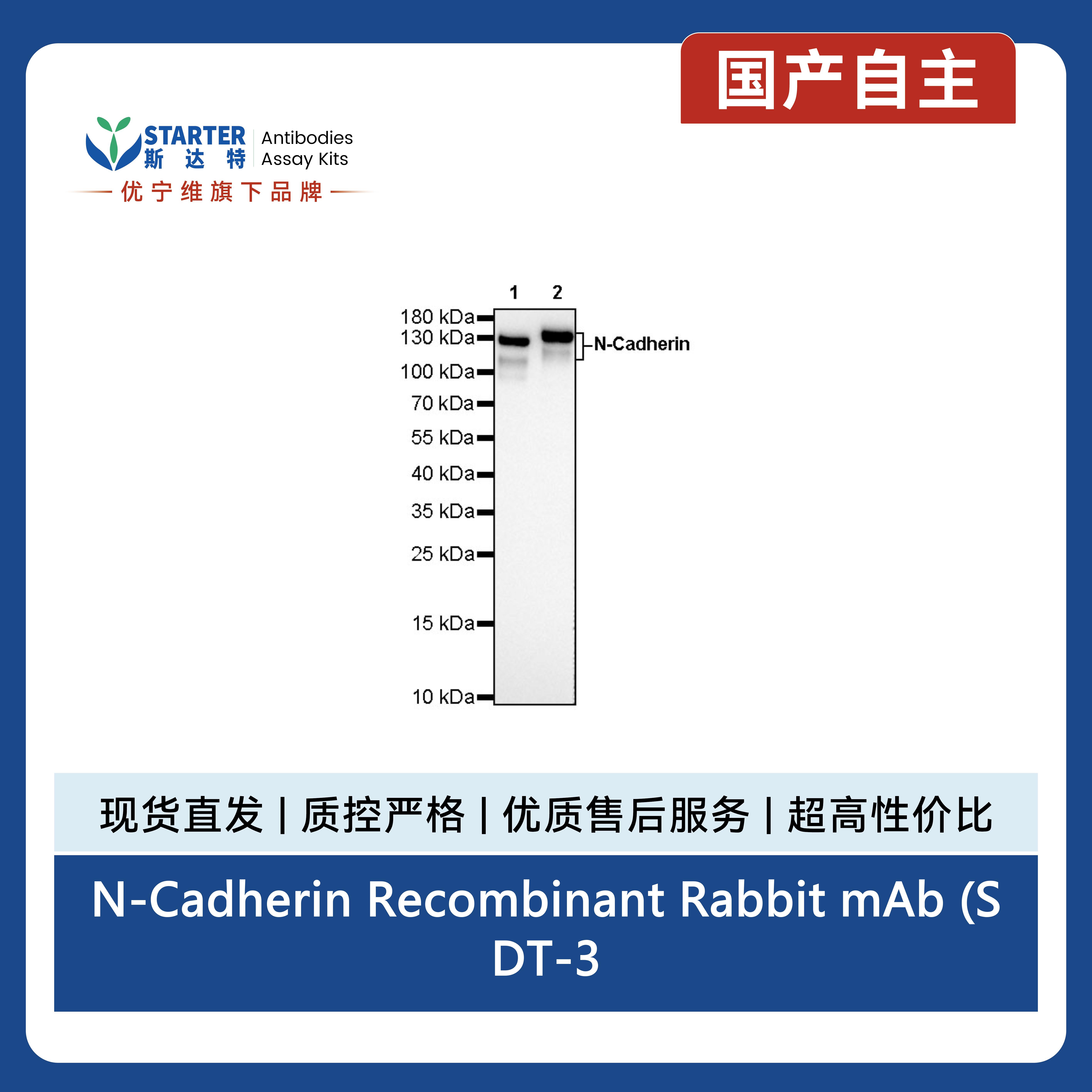 产品细节图片3