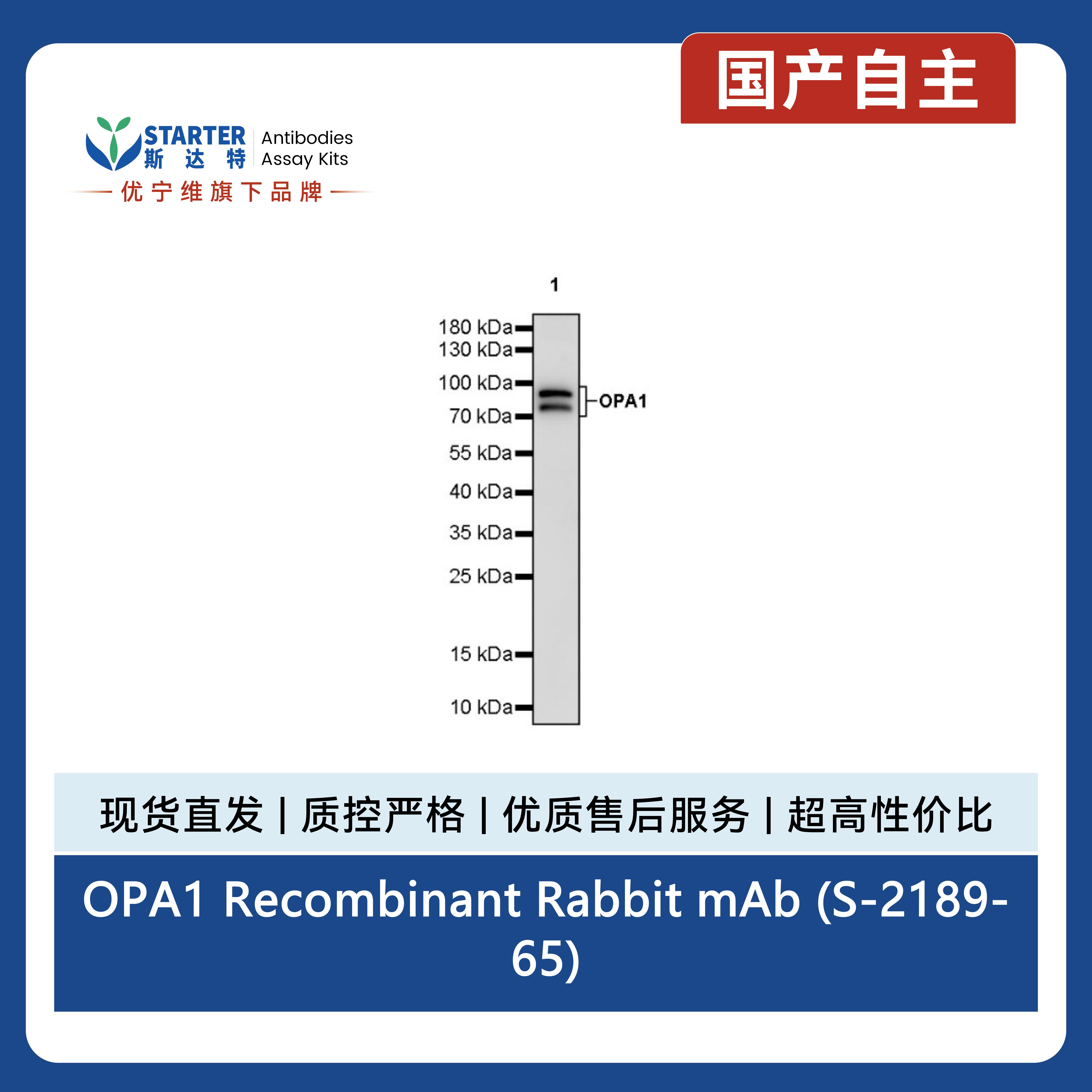 产品细节图片2