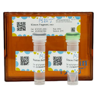 Klenow Fragment, Exo-，无动物源, 无载体, 生物活性, ActiBioPure™, 无菌, EnzymoPure™, 5 U/μL，阿拉丁