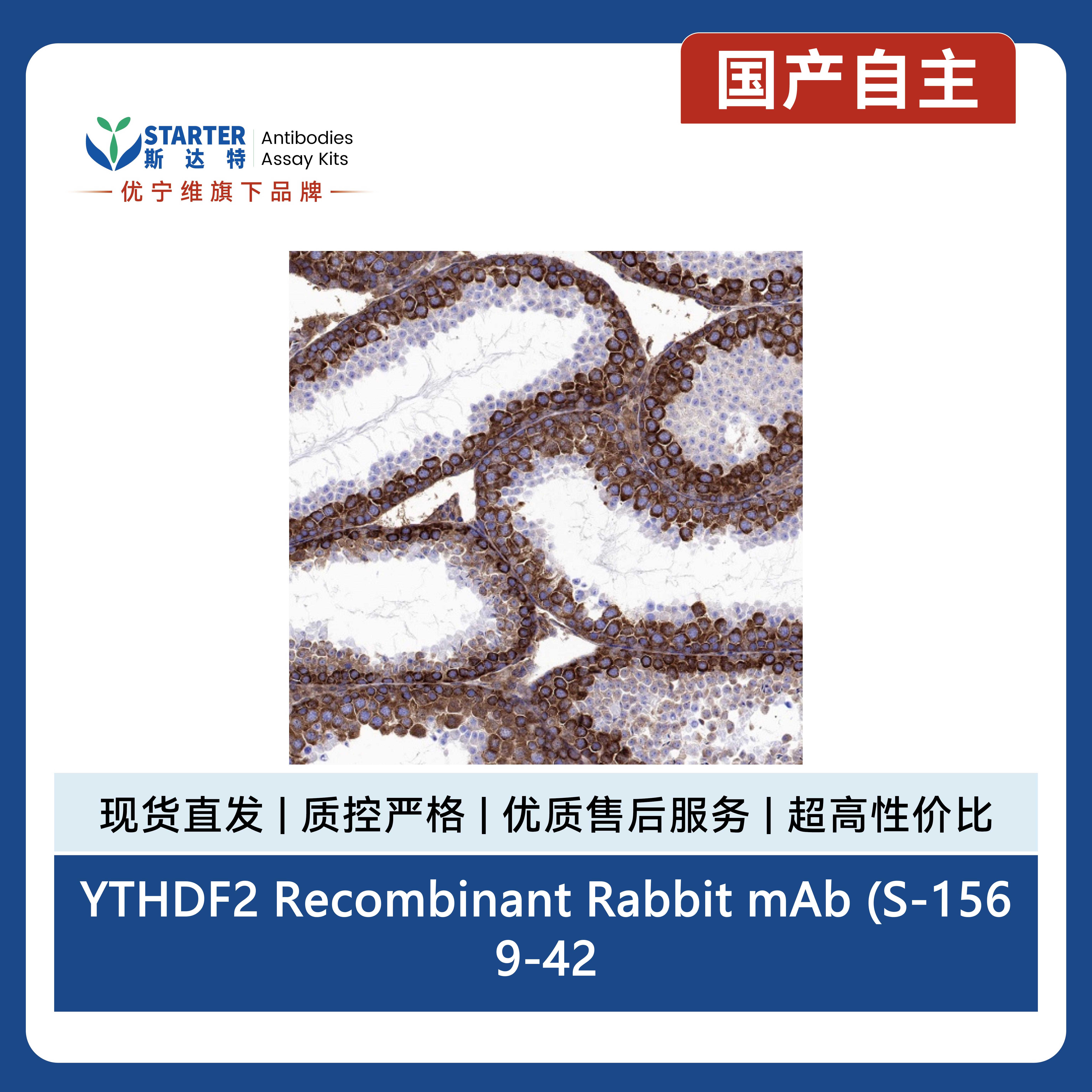 产品细节图片7