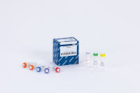 AllTaq PCR Core Kit (250 u)