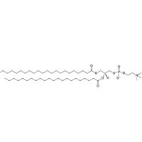 1,2-双二十二碳酰基-Sn-甘油-3-磷酰胆碱(22:0 PC),37070-48-7,≥98%,阿拉丁