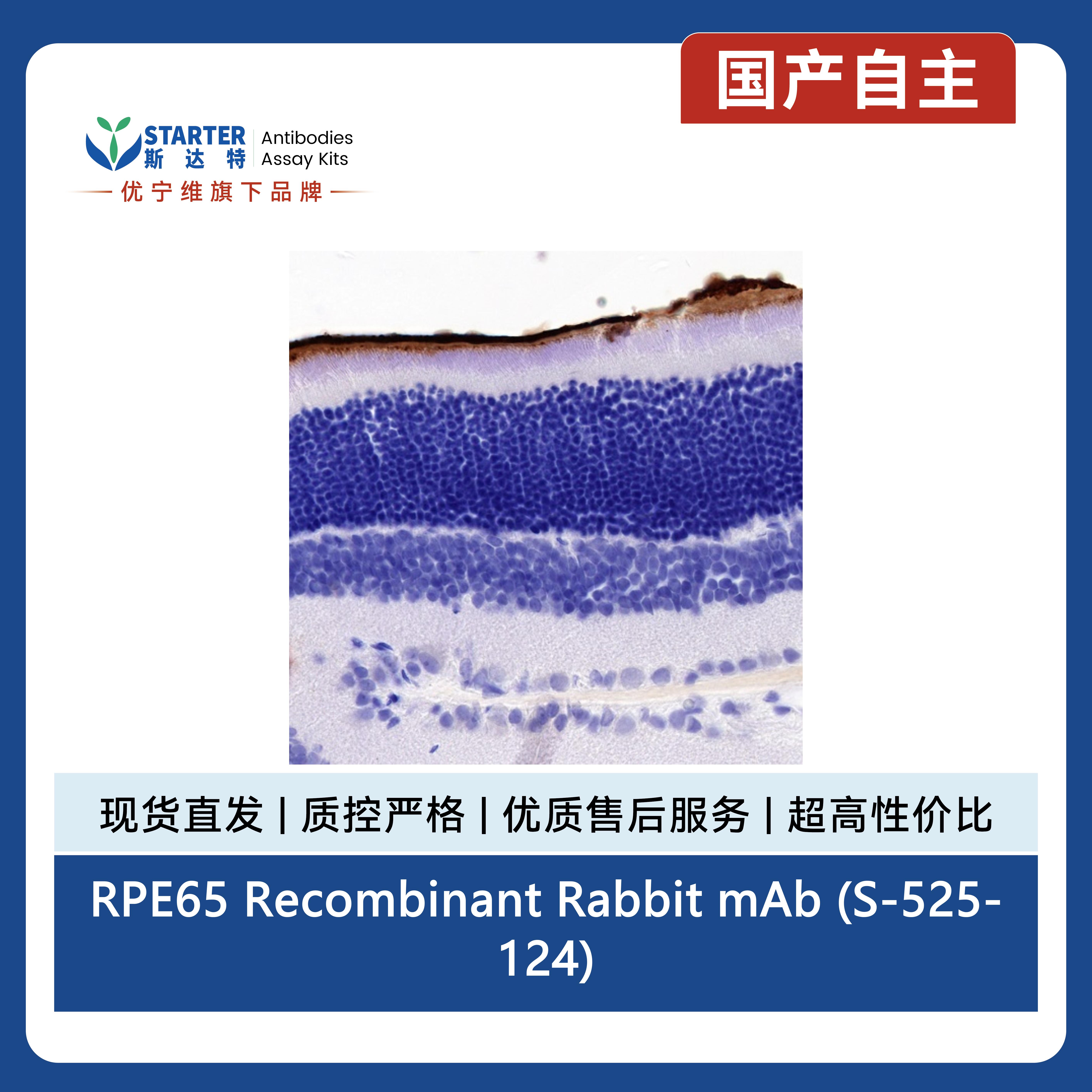 产品细节图片5