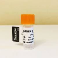 癌胚抗原(CEA) ;CEA抗原;CEA-ag