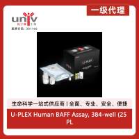 U-PLEX Human BAFF Assay, 384-well (25 PL)