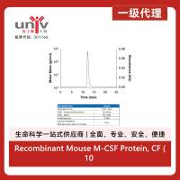 Recombinant Mouse M-CSF Protein, CF (10 ug)
