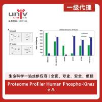 Proteome Profiler Human Phospho-Kinase Array Kit (1 Kit)
