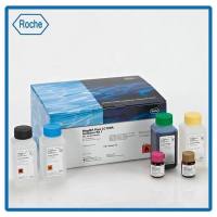 Roche 3045501001 MagNA Pure LC Medium Reagent Tub 30