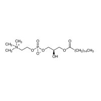 1-棕榈酰-sn-甘油-3-磷酸胆碱，17364-16-8，Moligand™, ≥97%，阿拉丁