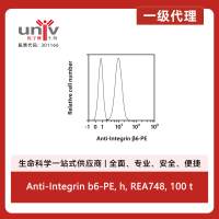 Anti-Integrin b6-PE, h, REA748, 100 t