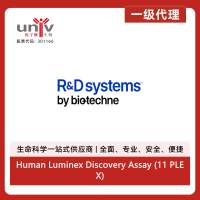 Human Luminex Discovery Assay (11 PLEX)