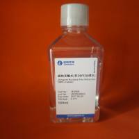 NP-40裂解液 NP-40 Lysis Buffer