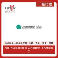 Anti-Nucleobindin-2/Nesfatin-1 Antibody