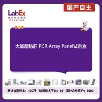 大鼠脂肪肝 PCR Array Panel试剂盒