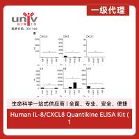 Human IL-8/CXCL8 Quantikine ELISA Kit (1 Kit)