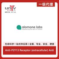Anti-P2Y13 Receptor (extracellular) Antibody