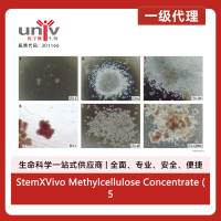 StemXVivo Methylcellulose Concentrate (50 mL)