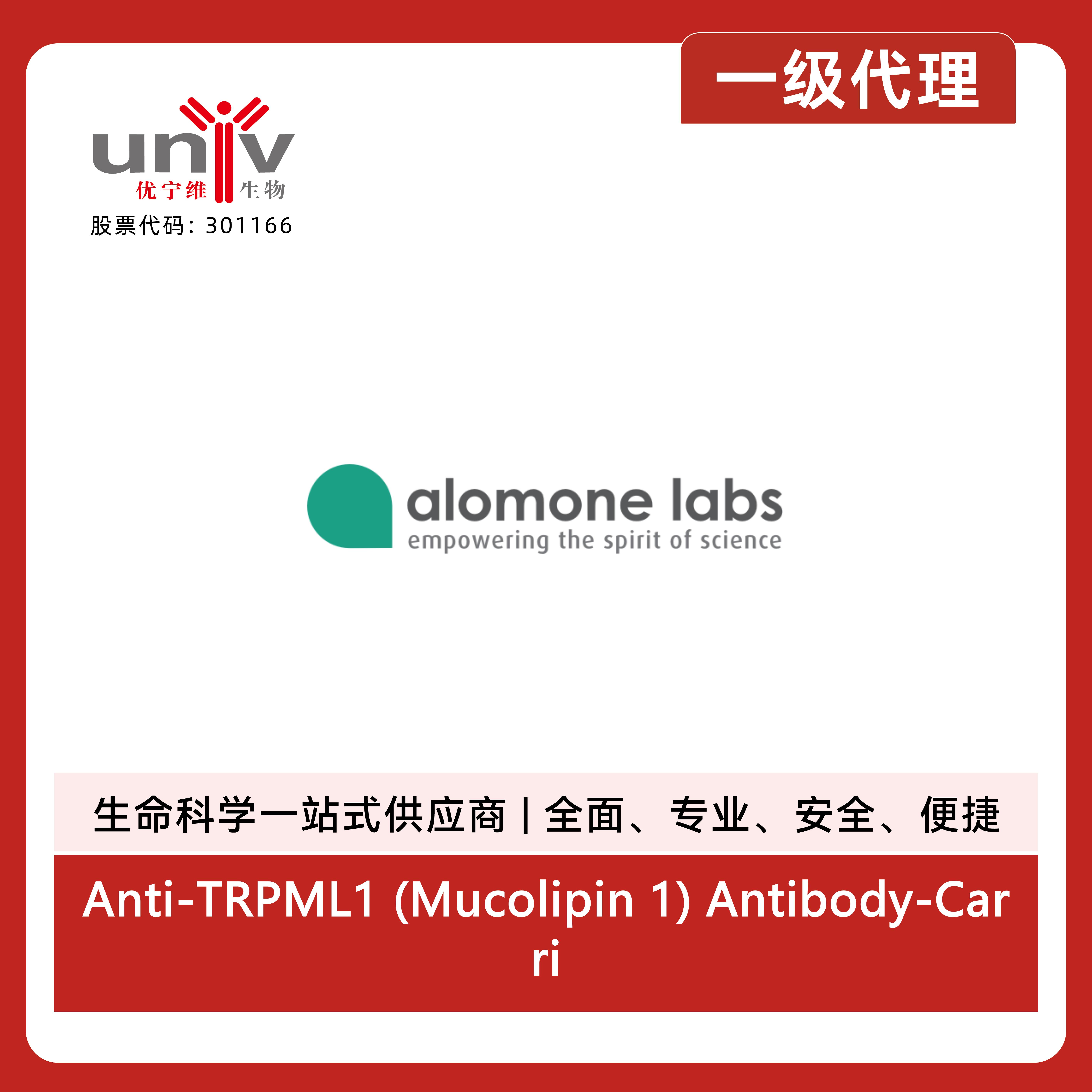 Anti-TRPML1 (Mucolipin 1) Antibody-Carrier Free产品图