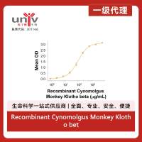 Recombinant Cynomolgus Monkey Klotho beta His Protein, CF (25 UG)