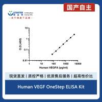 Human VEGF OneStep ELISA Kit
