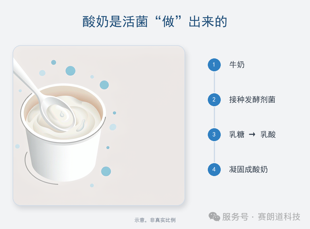 你喝的那杯酸奶，到底还有多少活菌？