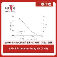 cAMP Parameter Assay Kit (1 Kit)