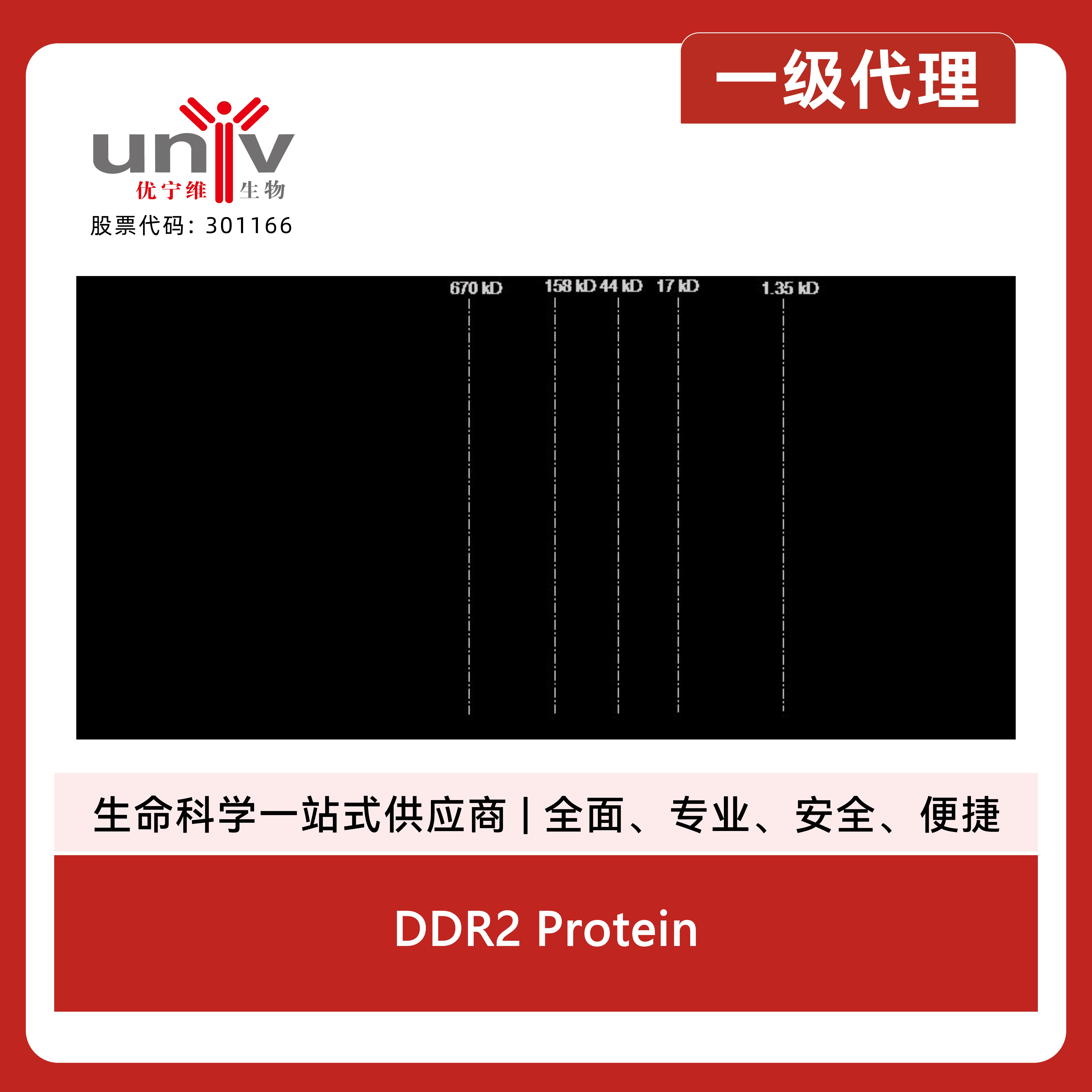 产品细节图片2