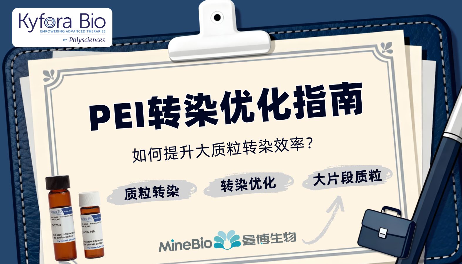 PEI转染优化指南：提升大质粒转染效率