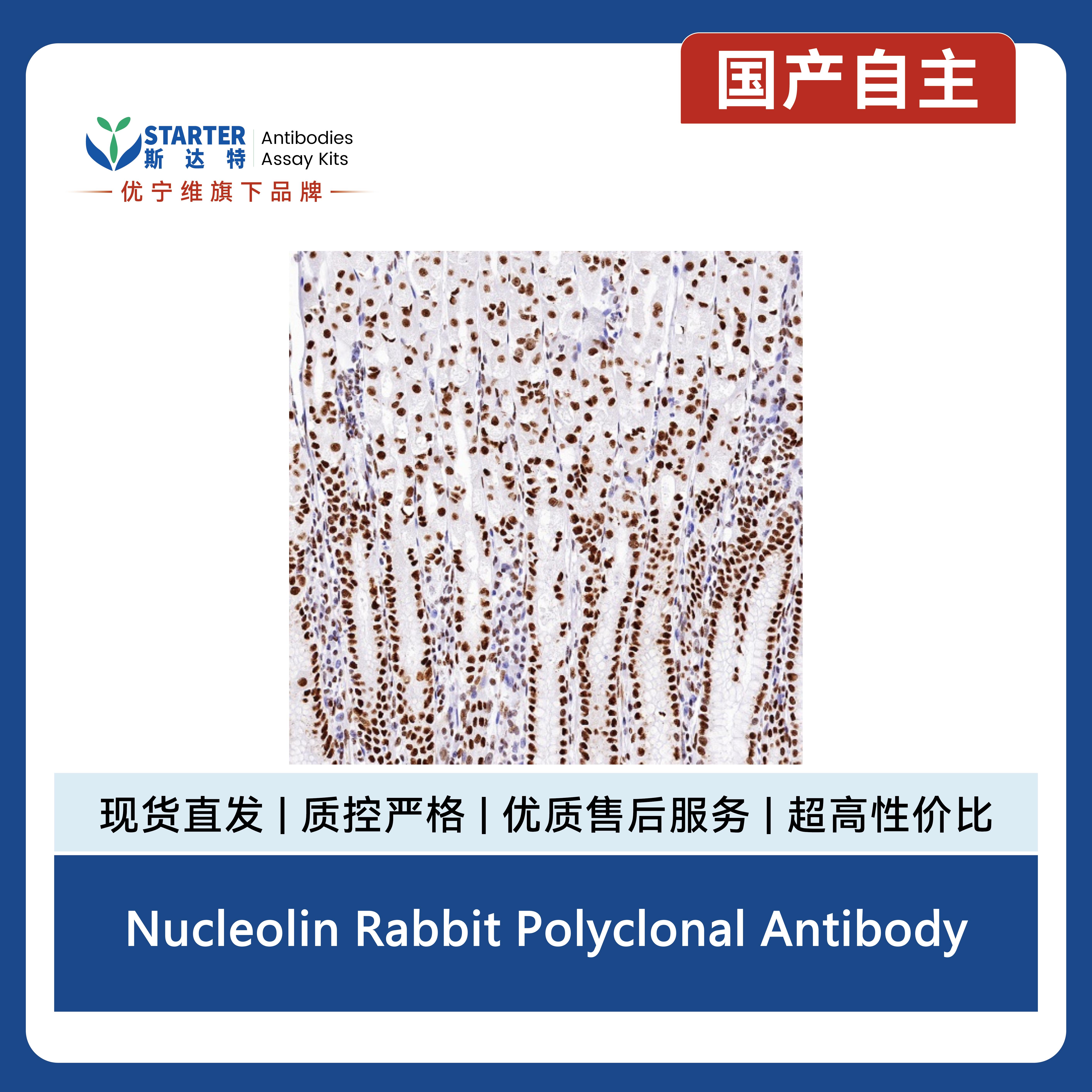 产品细节图片10