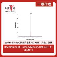 Recombinant Human/Mouse/Rat GDF-11/BMP-11 Protein (10 ug)