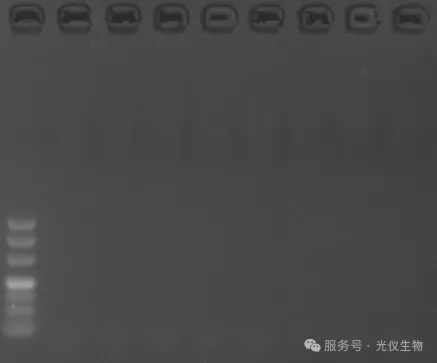新闻图片4