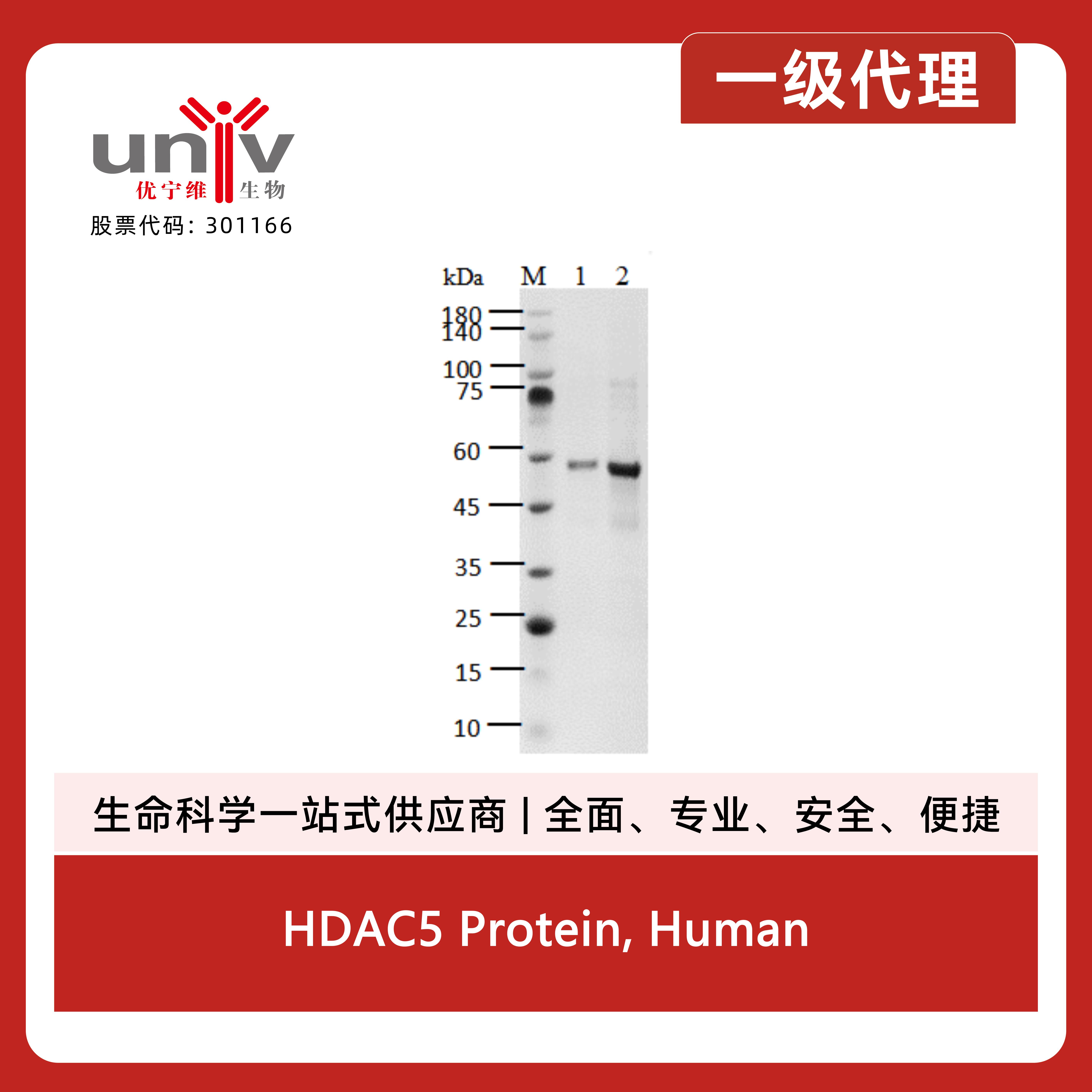 产品细节图片1