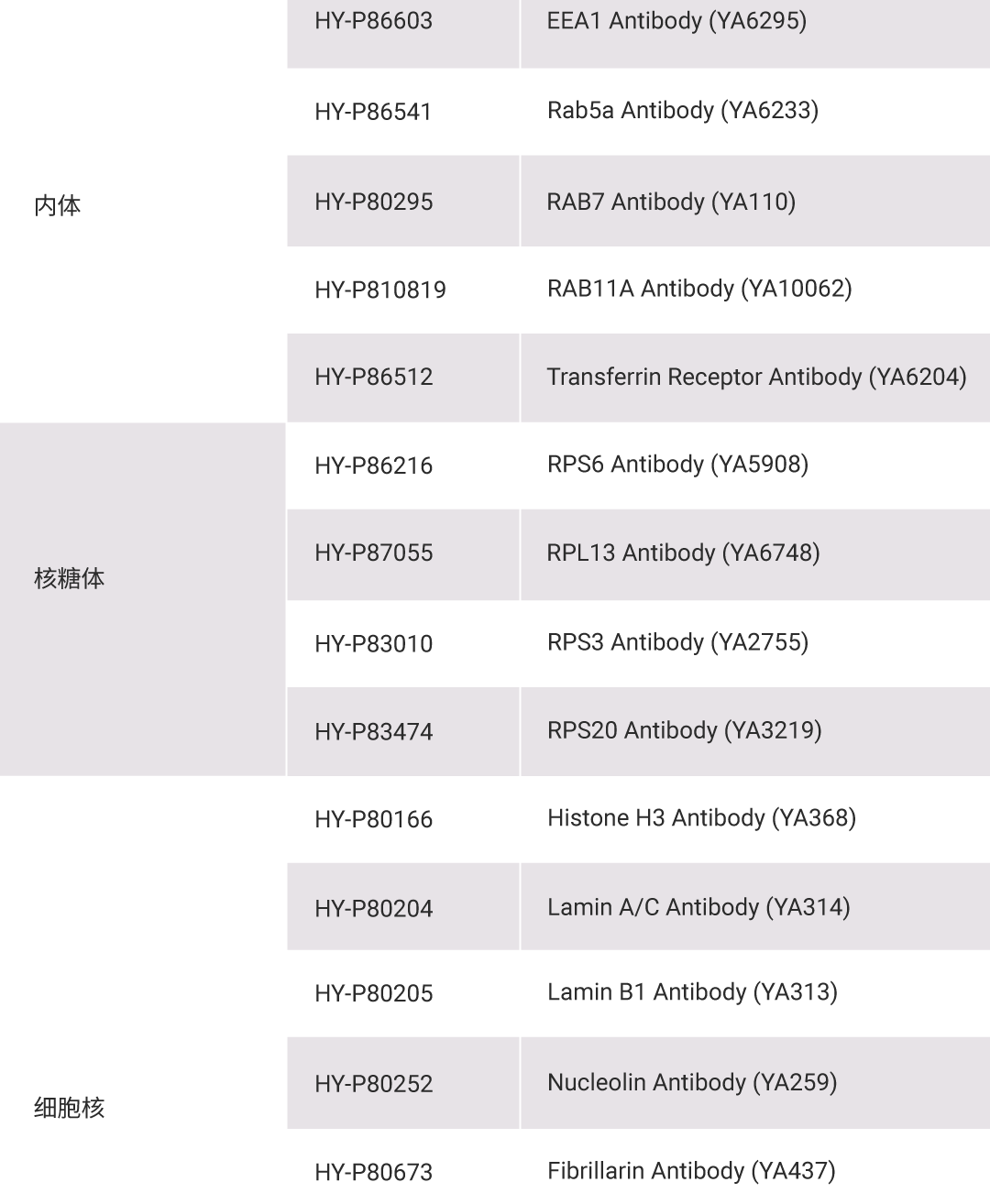 新闻图片24