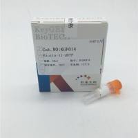 KGF012 TdT 酶 末端脱氧核苷酸转移酶(Terminal Deoxynucleotidyl Transferase)凯基 KeyGen