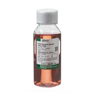 现货 北美盒装胎牛血清(FBS) A31604-02产品图