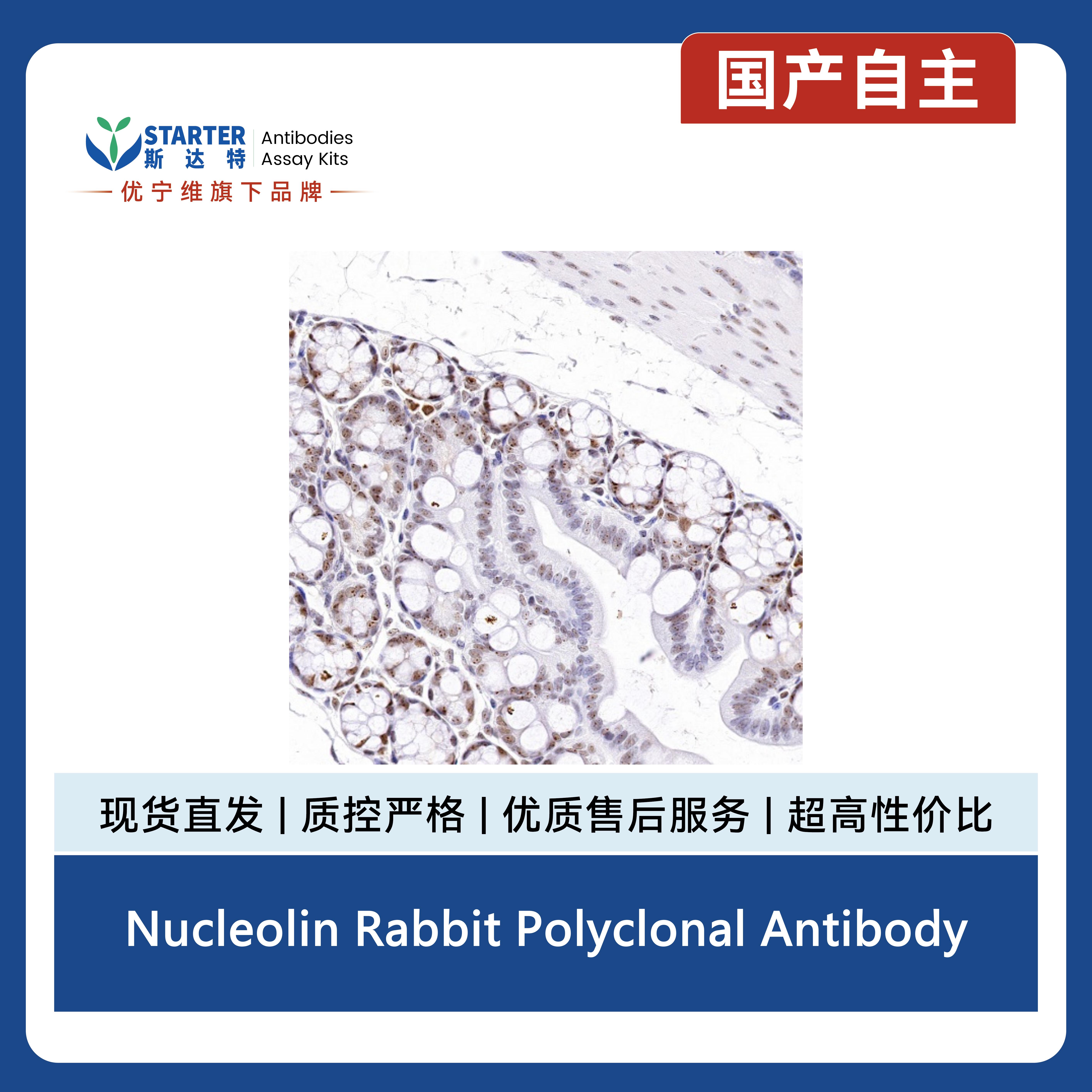产品细节图片11