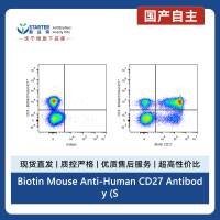 Biotin Mouse Anti-Human CD27 Antibody (S-568-2)