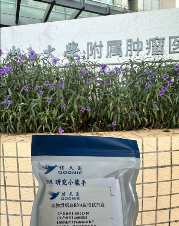 新手首提小鼠肝组织和肝肿瘤，从没碰过动物实验也可以拿到漂亮数据？中山大学肿瘤防治中心Demo