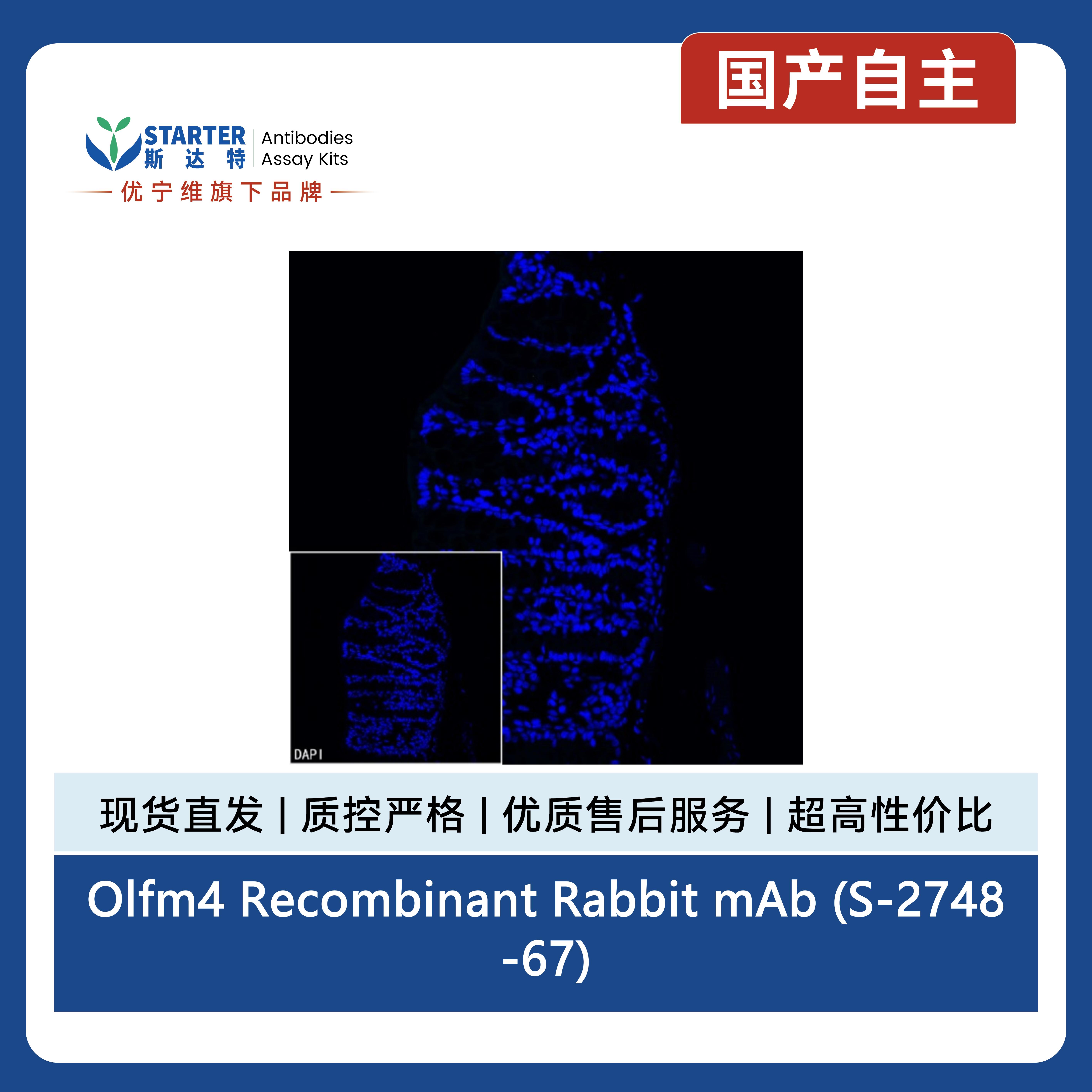 产品细节图片13