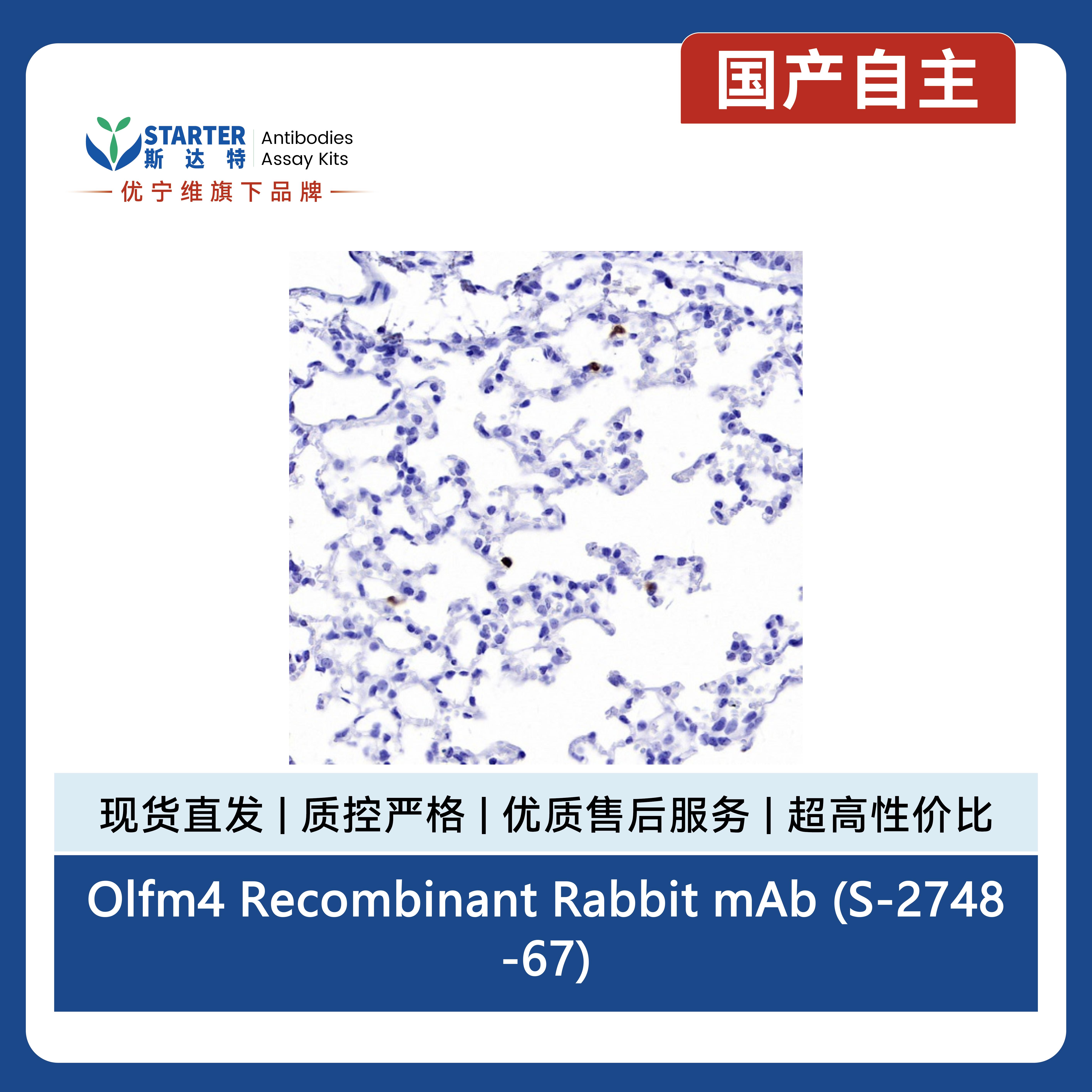 产品细节图片4