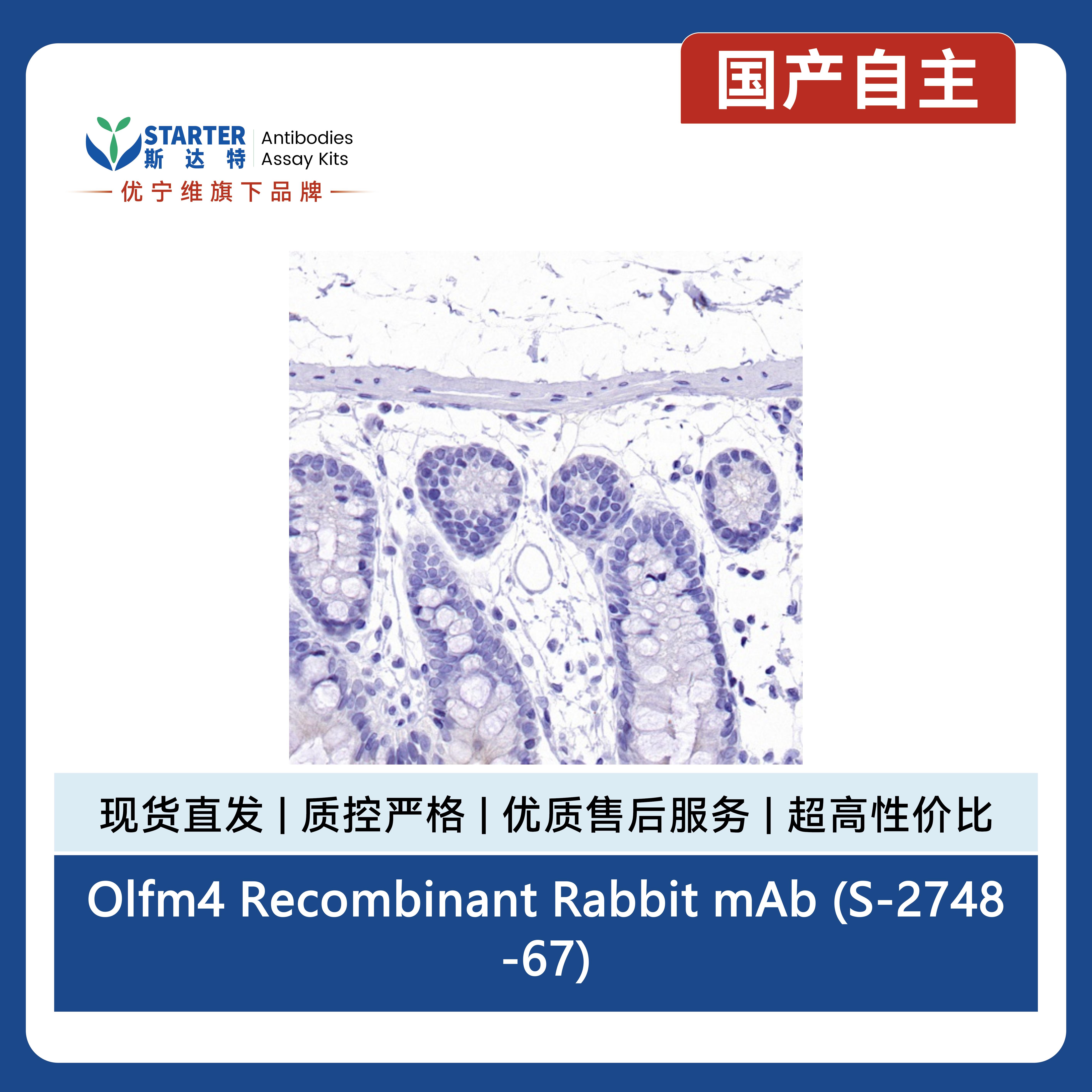 产品细节图片9