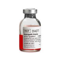 Matrigel 胚胎干细胞基质胶, hESC-Qualified Matrix, LDEV-free 354277