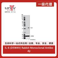 IL-6 (D5W4V) Rabbit Monoclonal Antibody