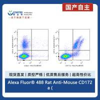 Alexa Fluor® 488 Rat Anti-Mouse CD172a (SIRPα) Antibody (S-R713)