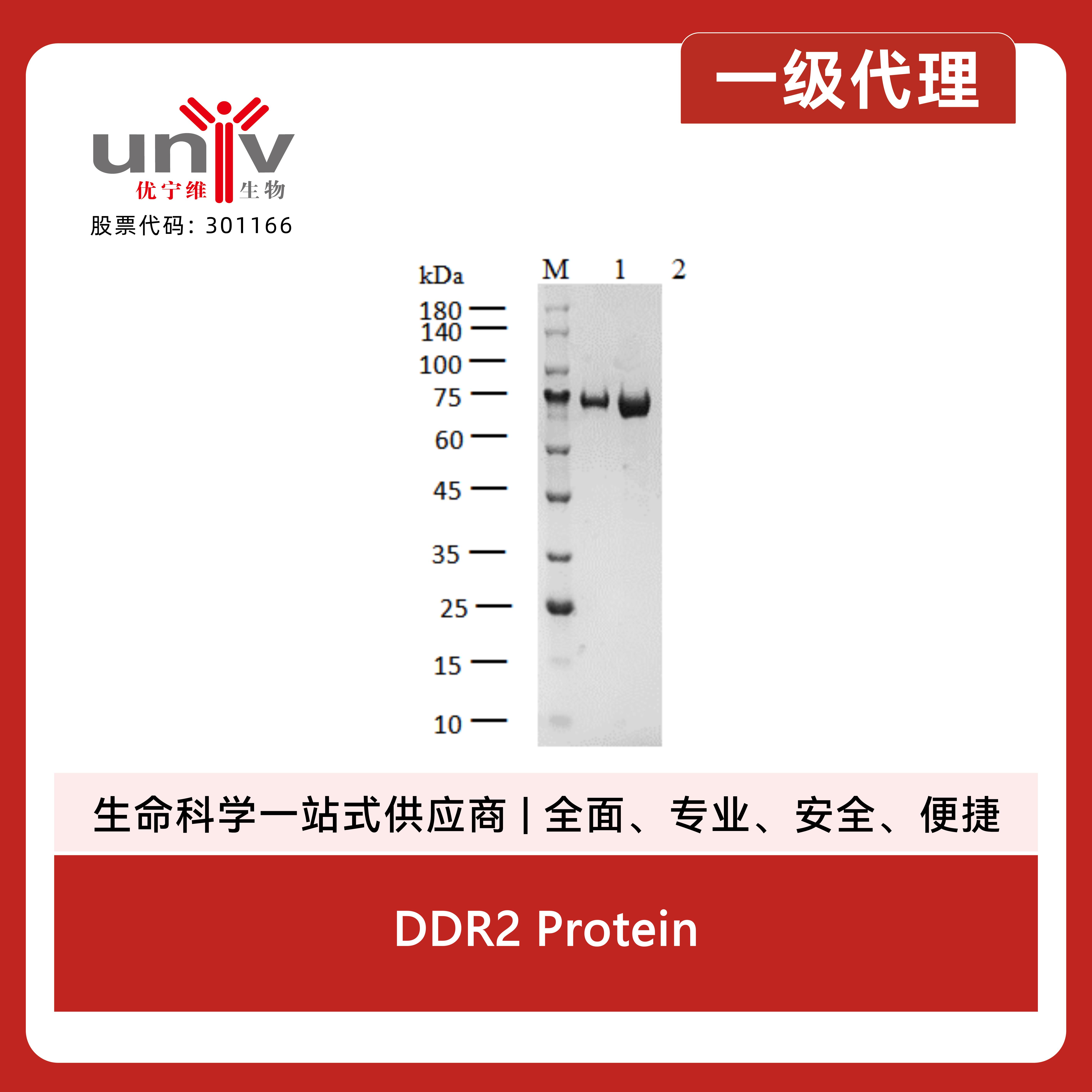 产品细节图片1