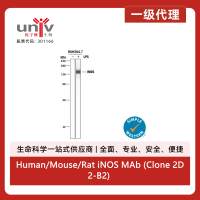 Human/Mouse/Rat iNOS MAb (Clone 2D2-B2) (100 ug)
